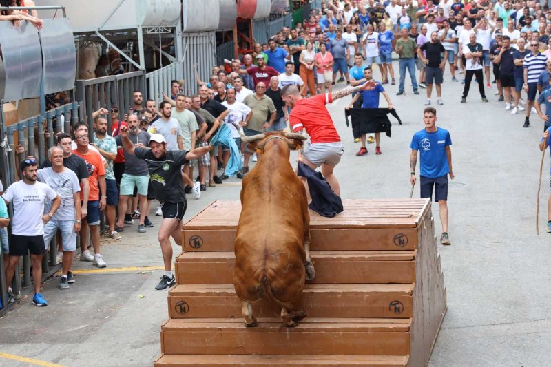 Els Coves s’enduu tots els premis del Concurs de Ramaderies de les Festes de Pedreguer Els Coves s’enduu tots els premis del Concurs de Ramaderies de les Festes de Pedreguer